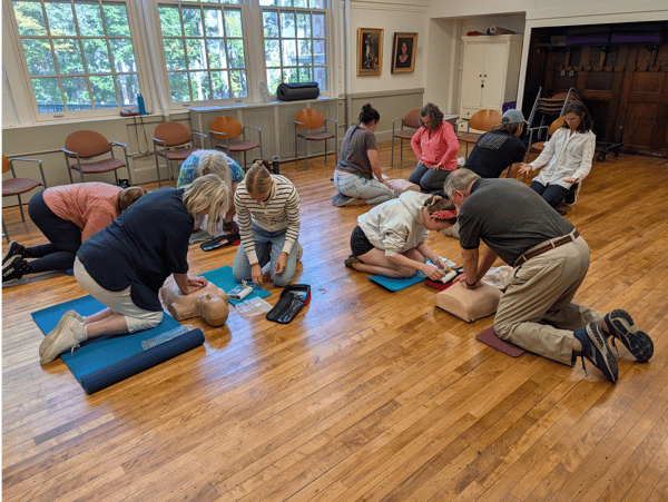 Course Adult, Child & Infant CPR with AED & First Aid image 2