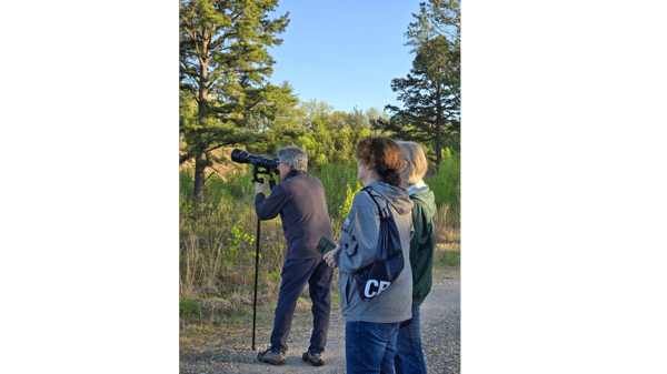 Course Spring Birding image 1