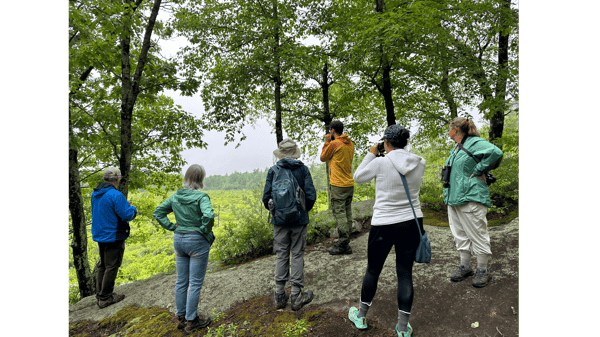 Picture for: Spring Birding