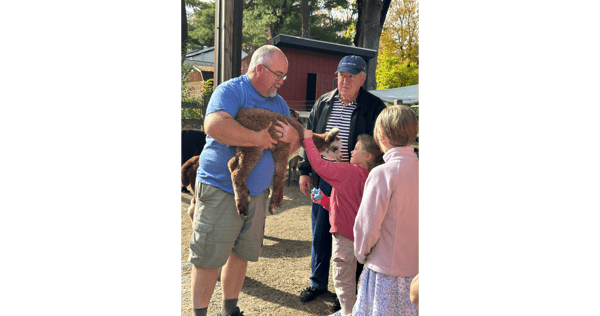 Picture for Meet the Alpacas at the Harvard Alpaca Ranch!
