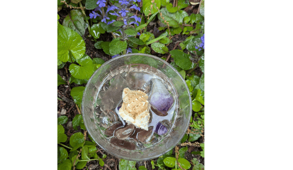 Course Inviting Pollinators to Our Gardens image 1