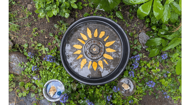 Course Inviting Pollinators to Our Gardens image 3