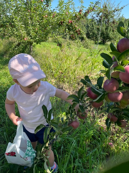 Course Autumn Hills Orchard Tour image 3