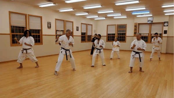 Course Traditional Martial Arts: Shotokan Karate image 1