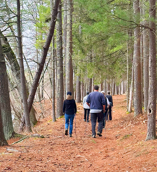 Course Nordic Walking image 2