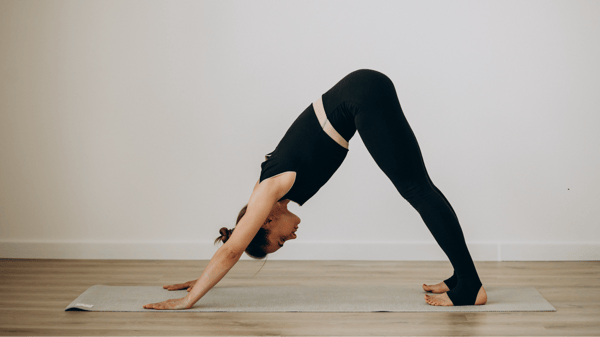 Picture for Yoga Foundations: Gentle Flow for All Levels