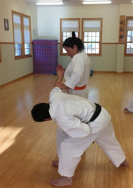 Course Traditional Martial Arts: Shotokan Karate image 2