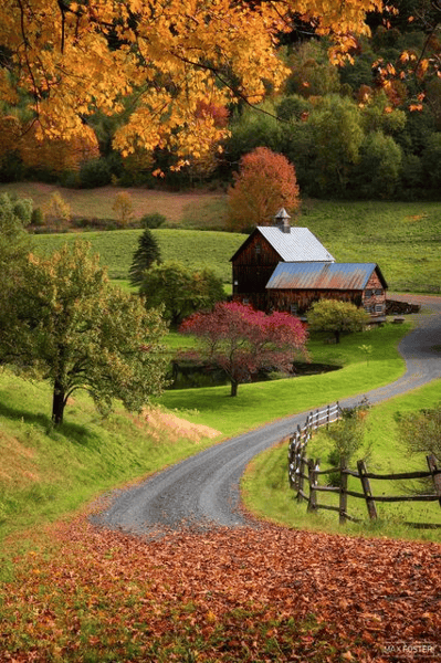 Picture for Paint & Sip: Colors of Autumn