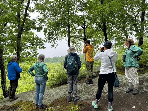 Course Bird Watching: Fall Bird Migration image 6