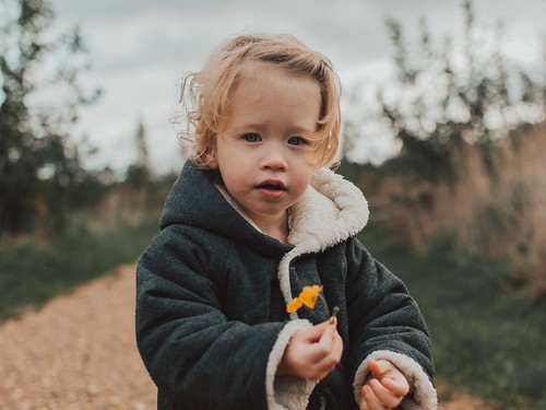 Image for Multi-aged class at Gustavus Arboretum