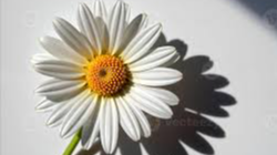 Picture for: Flower Casting