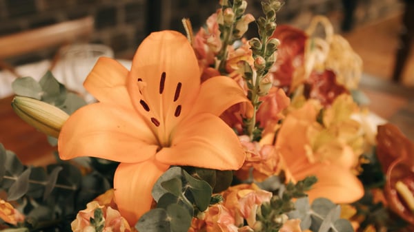 Picture for: Holiday Table Arrangements: Fall