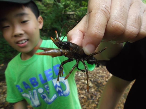 archery, BablerWiLD, creek, group classes, summer camp, summer camps