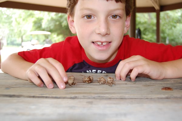 Course SummerLink image 2