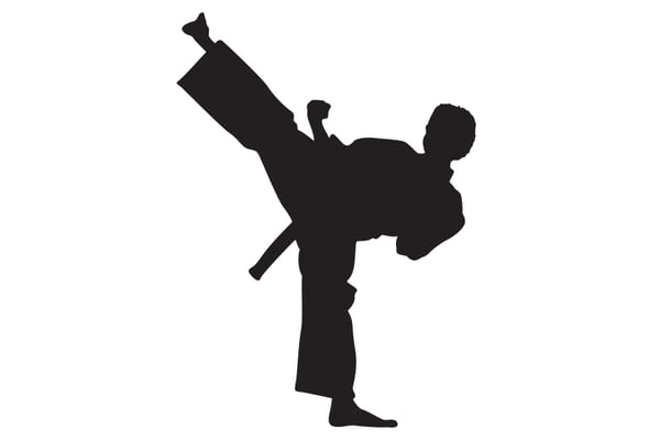 Course Karate image 1