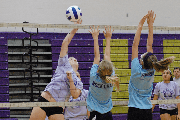 Picture for: Community Ed Girls Volleyball League - 3rd Grade