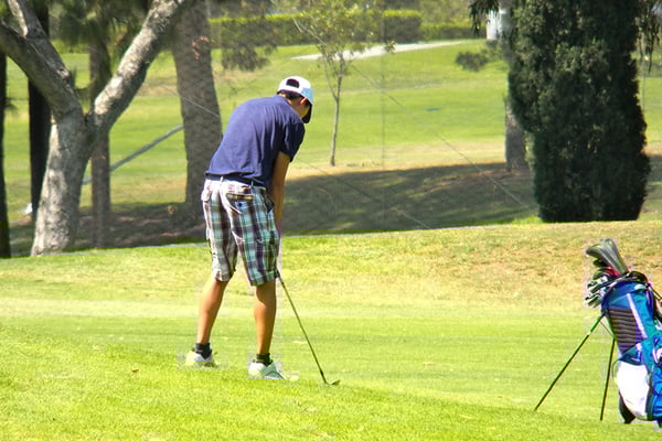 Picture for: Beginner Level Adult Golf