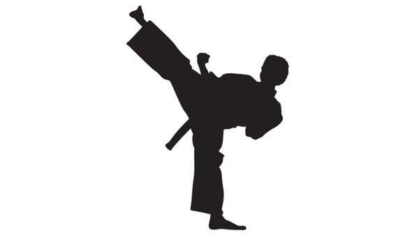 bestgiftever, instructional program, karate, sports, ws sports 2017
