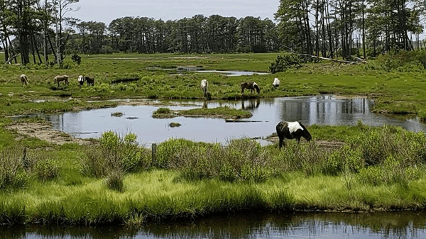 Course Atlantic Coastal Quest image 2