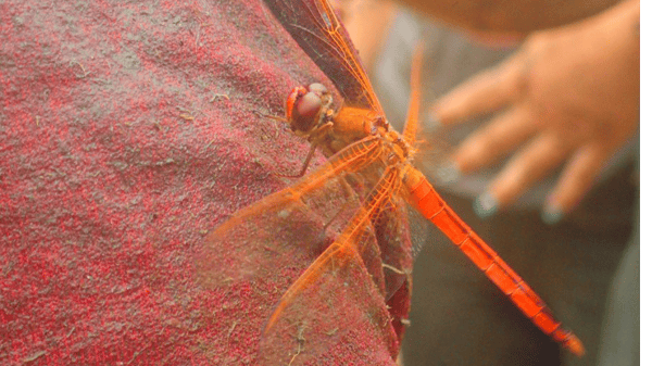 Course Atlantic Coastal Quest image 3
