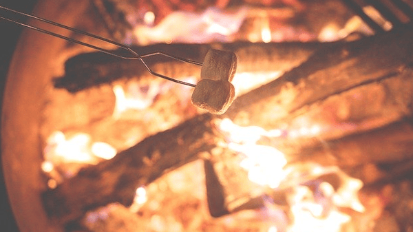 bonfire, campfire, family, marshmallow