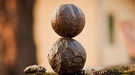 adult, enrichment, fitness, mindfulness