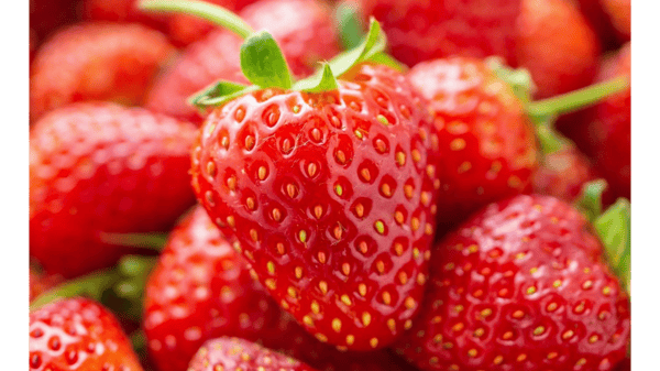 Course Amish Strawberry Festival image 1