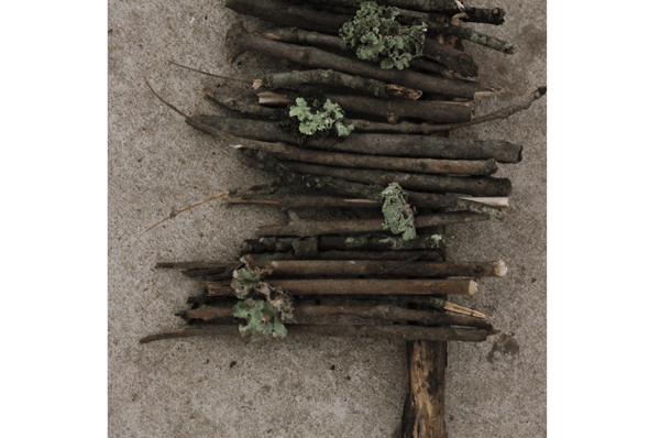 art, Babler OEC, BablerWiLD, outdoor art, VPA, youth