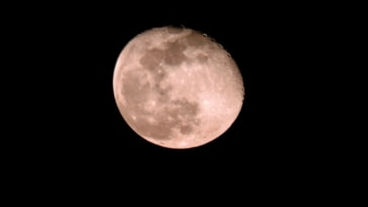 Course Howl at the Moon Night Hike image 1