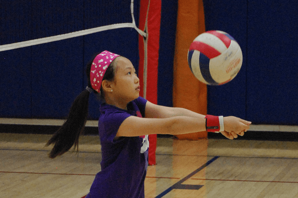 Picture for Volleyball