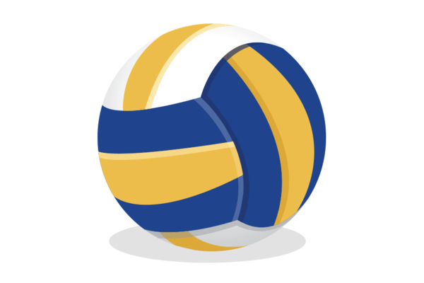 Picture for Volleyball