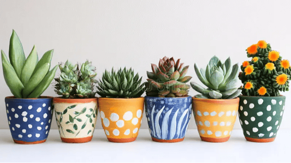 Picture for: DIY Home Crafts: Painted Pots & Planters