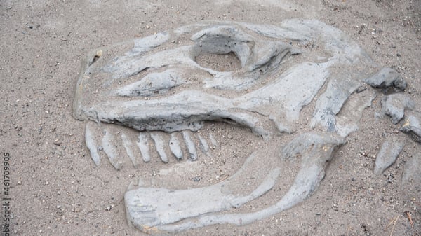 Picture for: Diggin' Up Dinosaurs