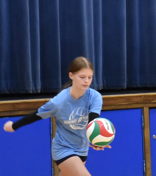 Picture for Community Ed Girls Fall Volleyball League: Grade 7