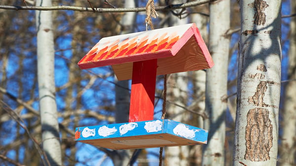Picture for: Craft Club: Bird Feeders