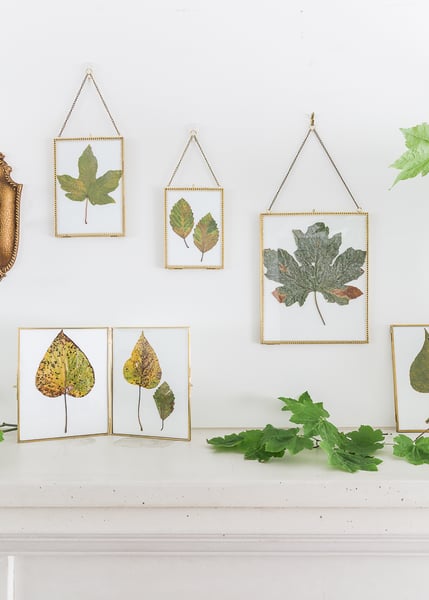 Picture for: Pressed Leaf Art & Botanical Prints