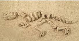 Picture for: Dino Explorers