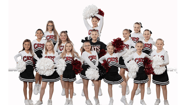 Picture for: Lakeville Elementary Comp Cheer Team