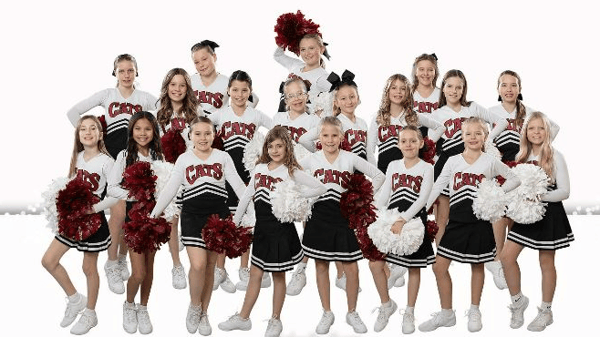 Picture for: Lakeville Cheer Elementary Advanced Comp