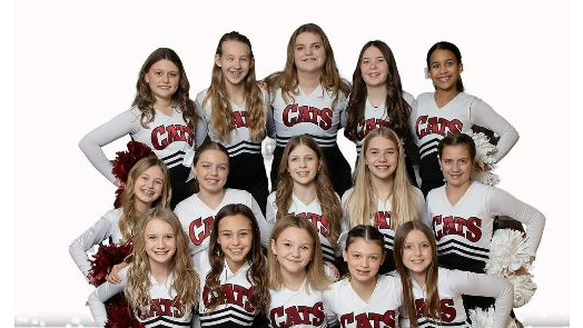 Image for Lakeville Middle School Competition Cheer Team