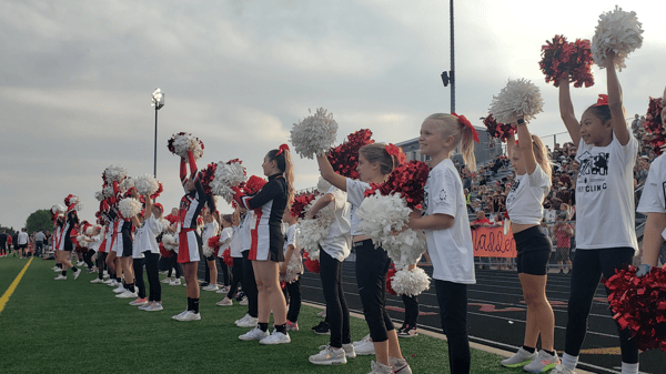 Picture for: LNHS Panther Youth Cheer Clinic