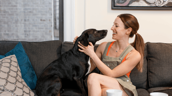 Picture for: TEEN: Make Money Pet Sitting - Online Course