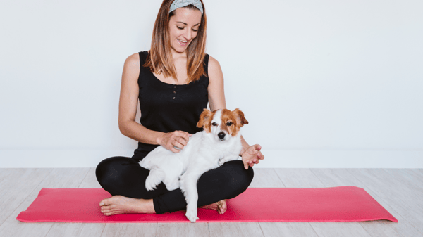 Picture for: Puppy Yoga with Healing Hearts Rescue