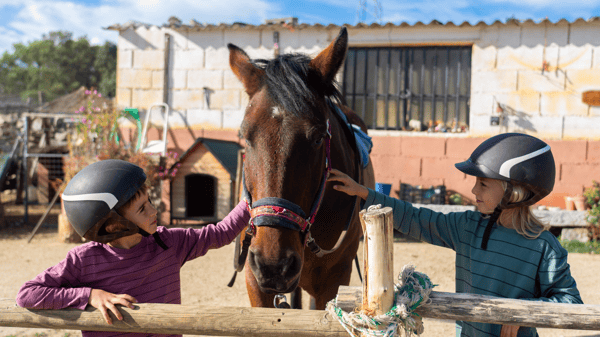Picture for: One-Day Horse Camp