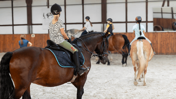 Picture for: Mixed Riding Levels