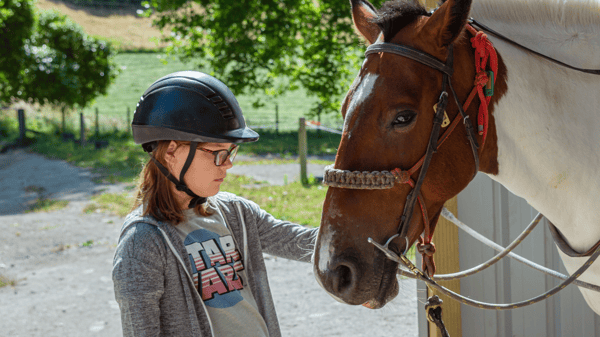 Picture for: Two-Day Horse Camp