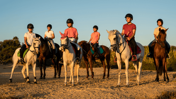 Picture for: Next Level Horse Camp