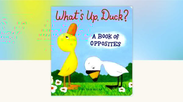 Picture for: Daycare Express: Session C