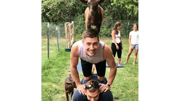 Course Goat Yoga image 2