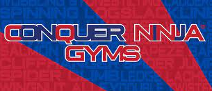 Picture for: Ninja Summer Camp